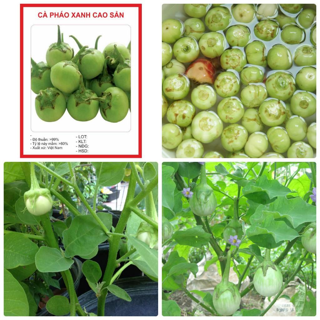 Hạt Giống Cà Pháo Xanh. 2gr/gói