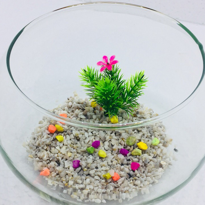 Bể cá mini để bàn tròn T11 Tặng phụ kiện