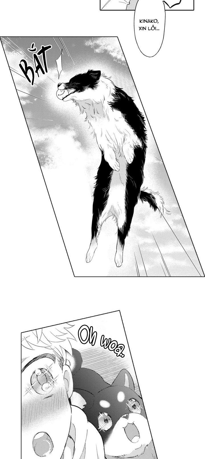 hiyoko-chan to harinezumi-kun chapter 3 14