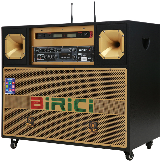 Loa điện Karaoke Birici MX-700 - Hàng chính hãng