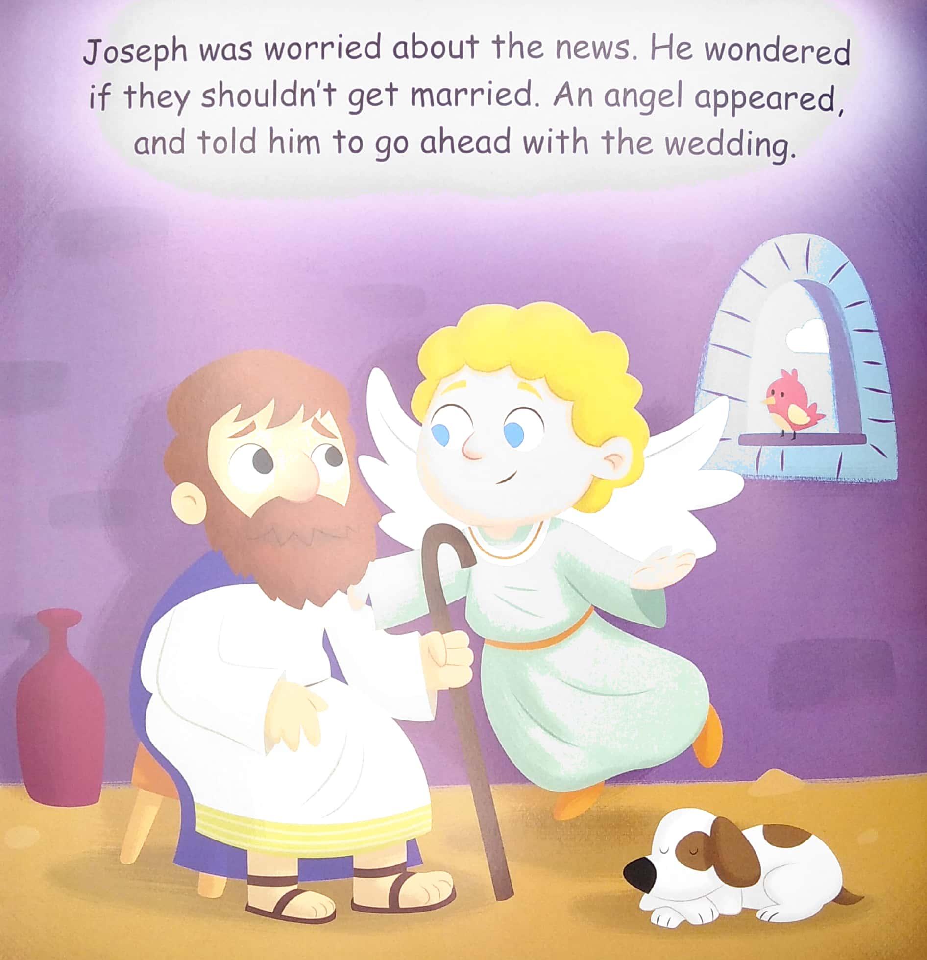 The Nativity Story - Paperback