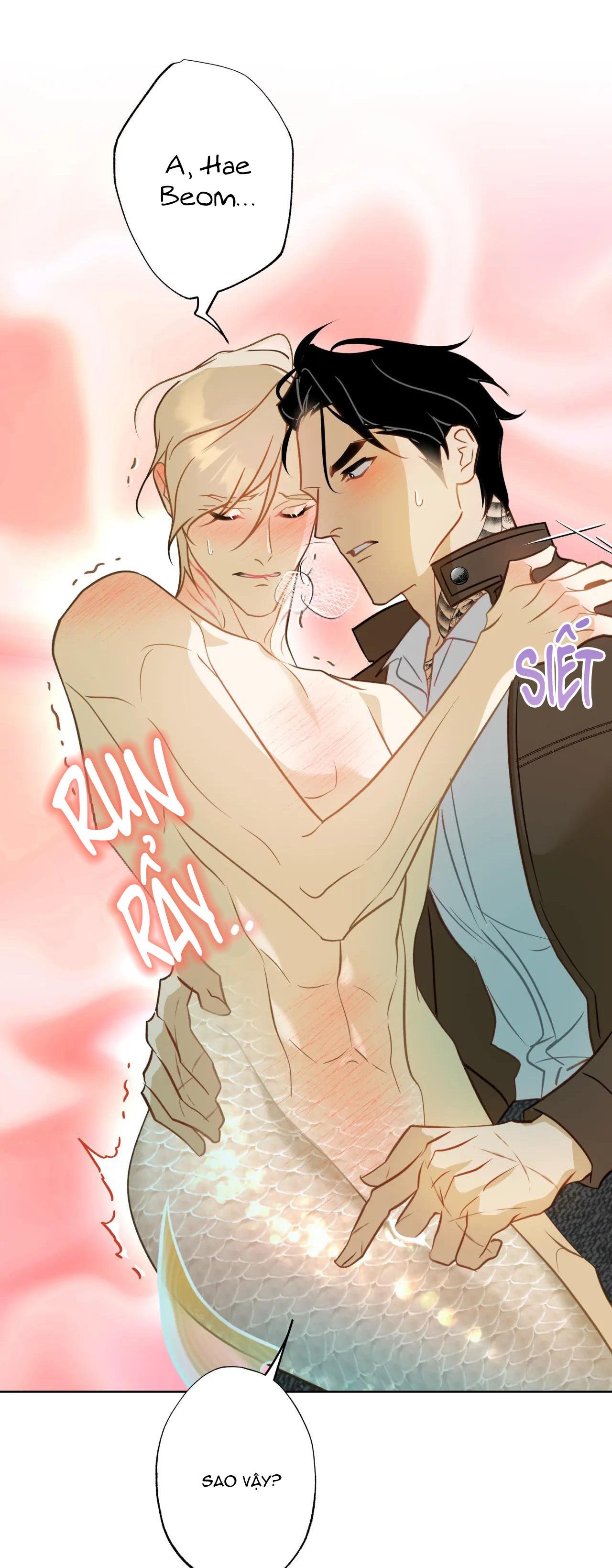 mỹ nhân ngư chapter 5 63