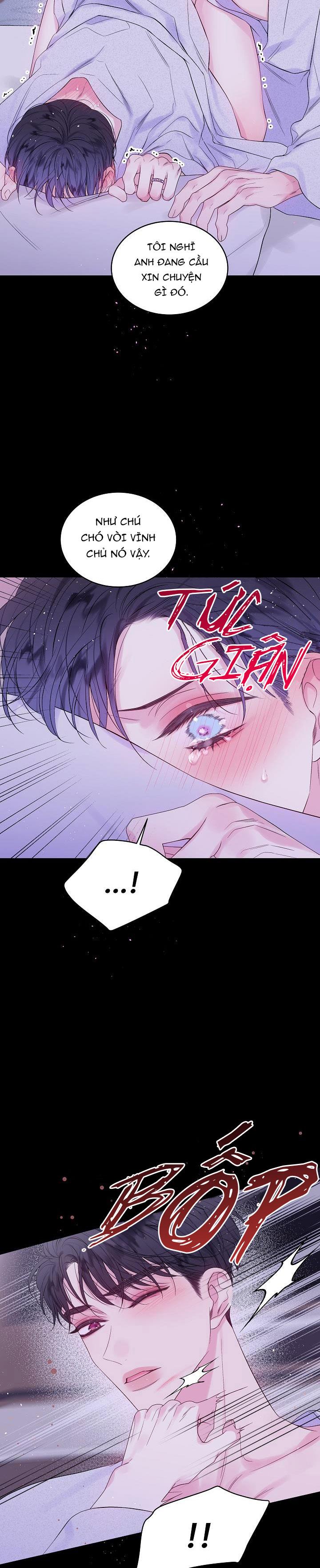 bình minh thứ hai chapter 12 11