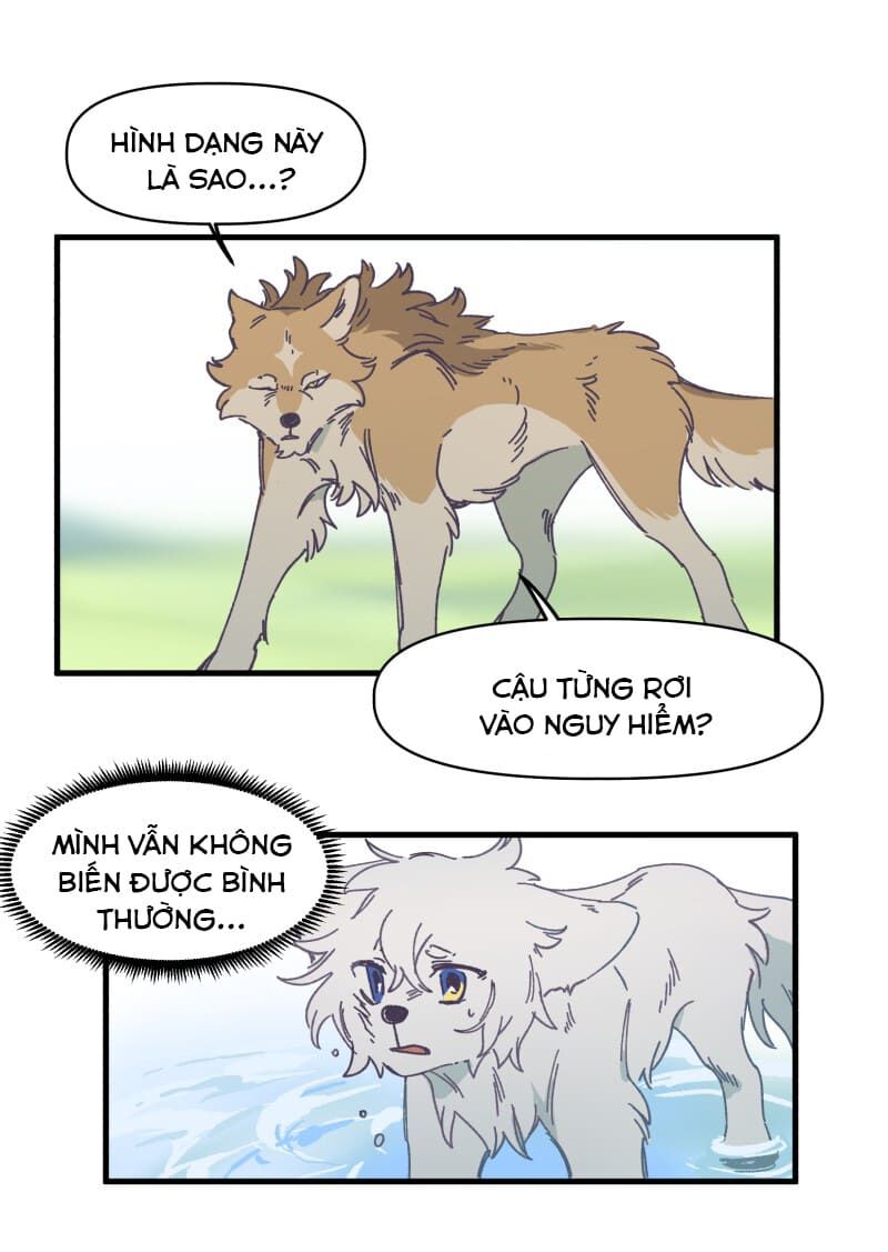 lumine - cội nguồn ánh sáng chapter 134 15