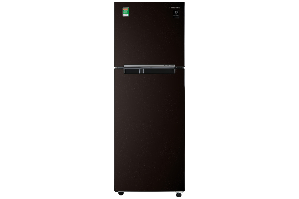 Tủ lạnh hai cửa Digital Inverter 243L - Hàng chính hãng
