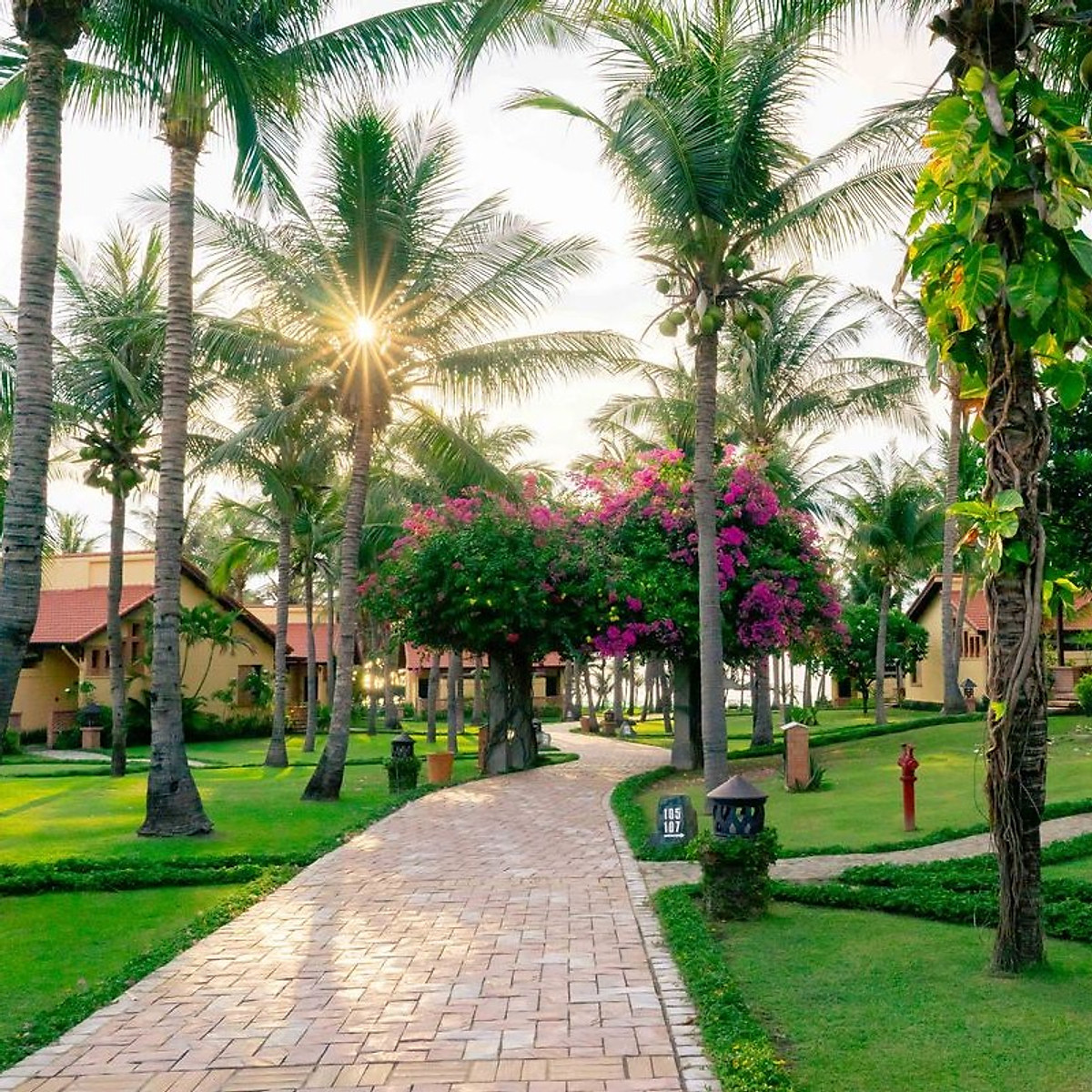 Hình ảnh Pandanus Resort 4* Phan Thiết - Buffet Sáng, Hồ Bơi, Bãi Biển Riêng, Voucher Giá Tốt, Khách Sạn Mũi Né, Và Nhiều Ưu Đãi Hấp Dẫn