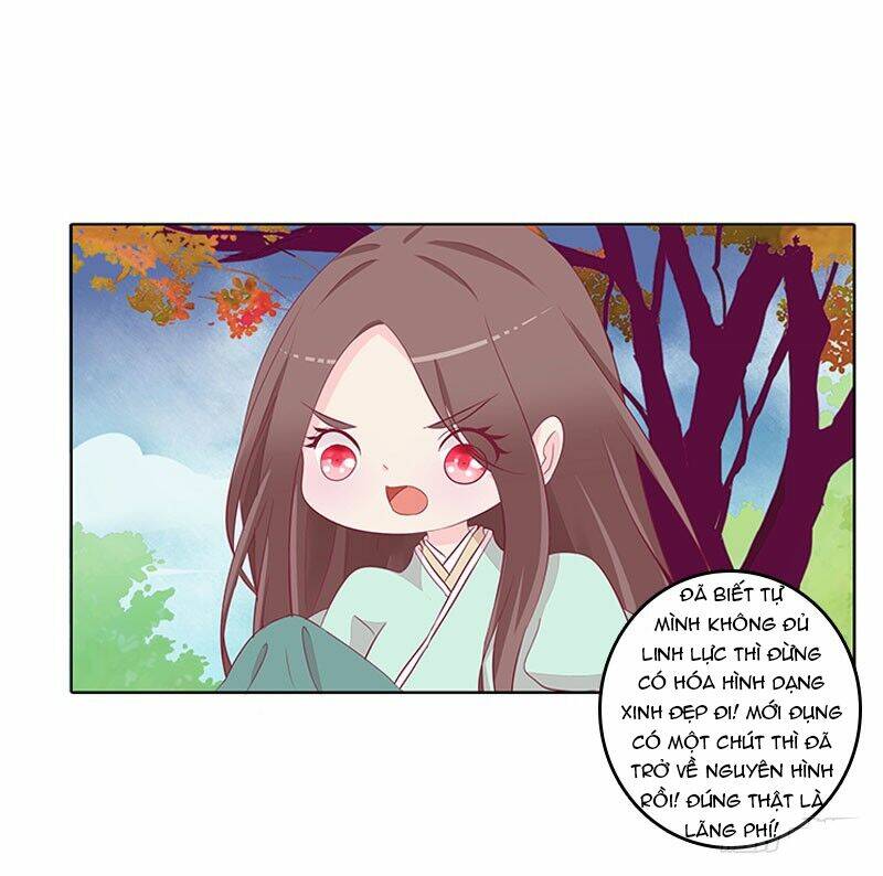 tướng quân mời ra trận chapter 41 22