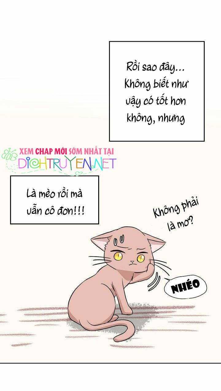 cuộc sống kỳ thú chapter 1 45