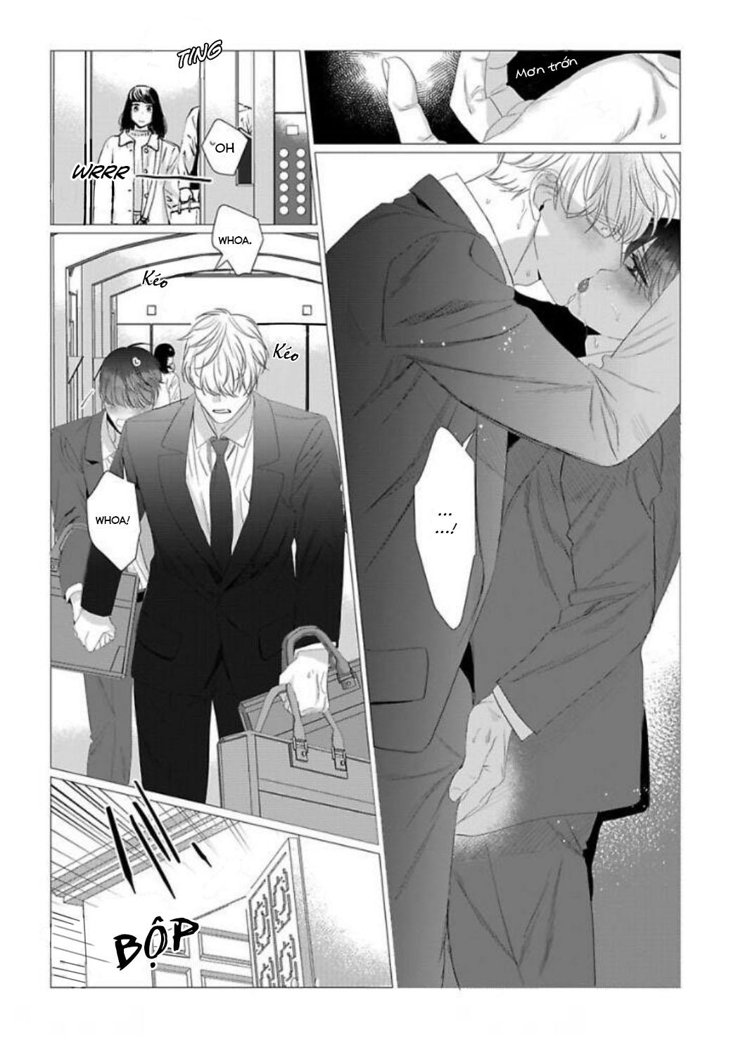 cúc xinh khao khát được chạm vào chapter 12 10