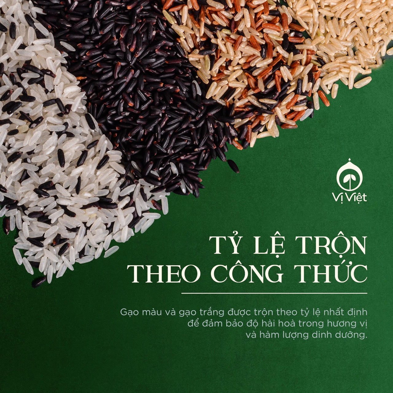 Gạo Lứt Trộn VỊ VIỆT , Gói 1kg, , siêu dẻo, thơm ngon đậm vị, không cần ngâm