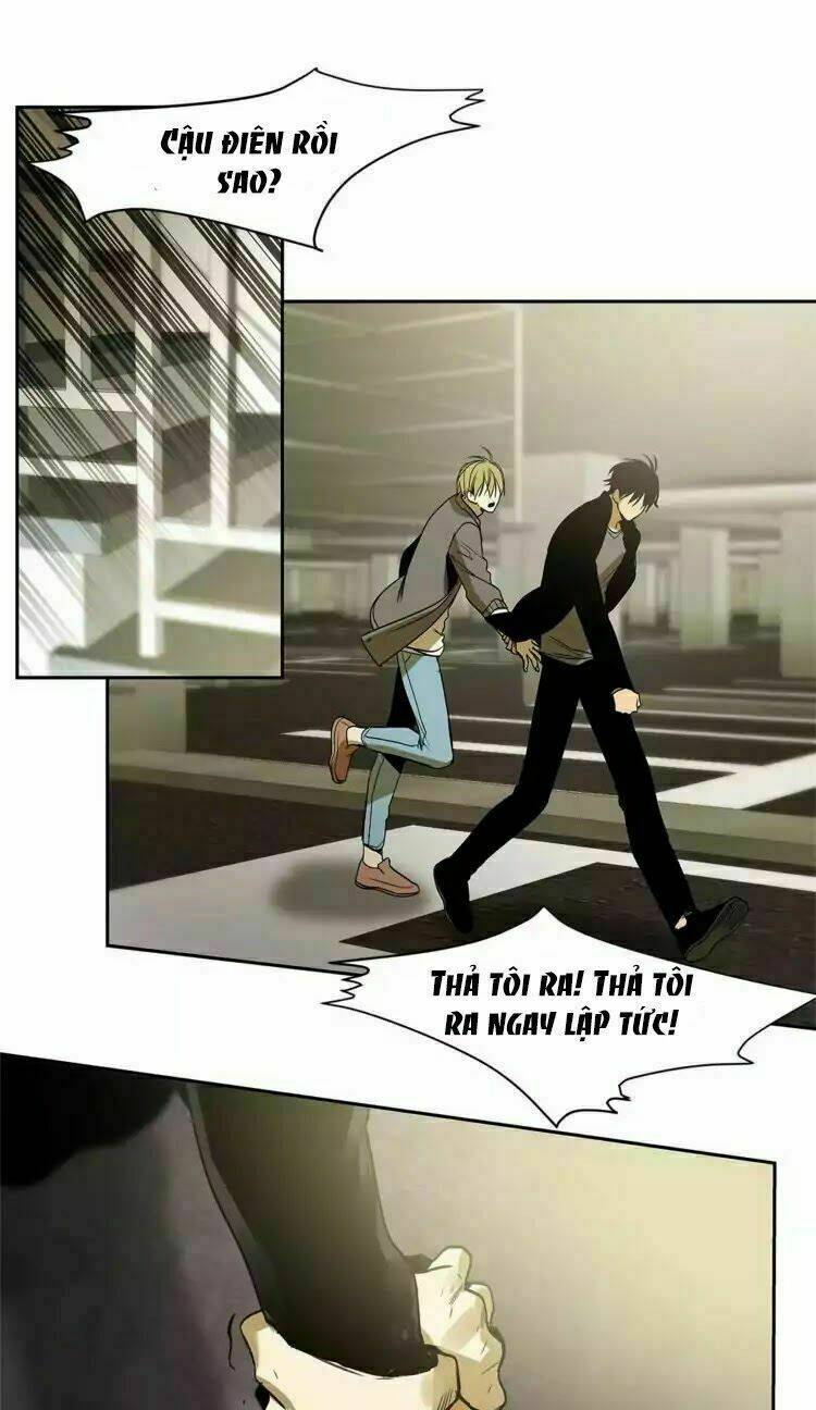 special relationship law chapter 1 32