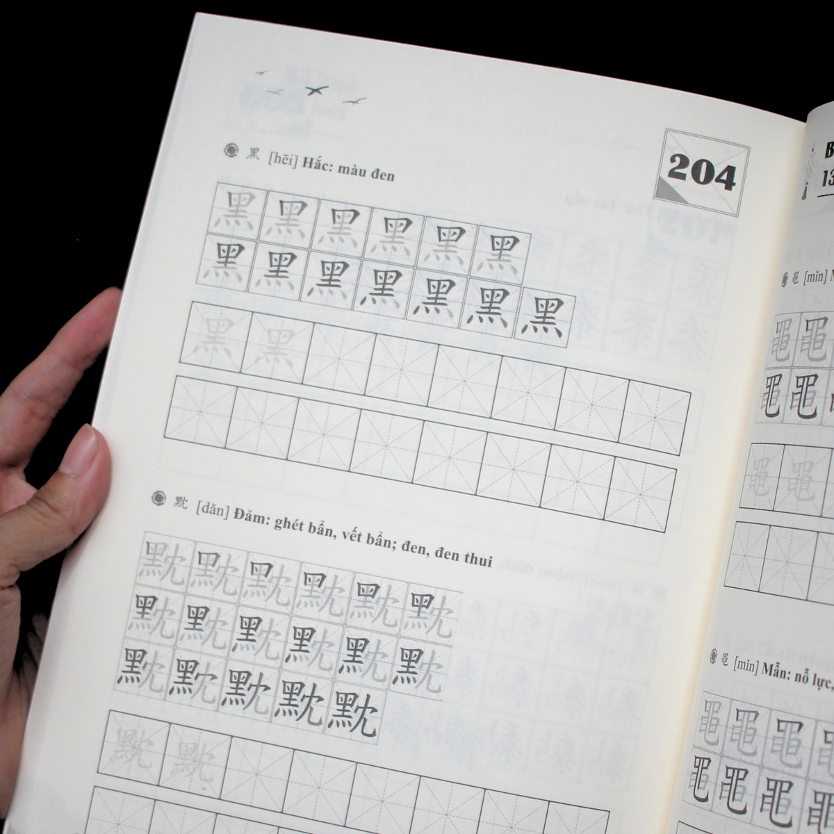 Sách - Luyện Viết 214 Bộ Thủ Hán Tự Thông Dụng - Tập 1