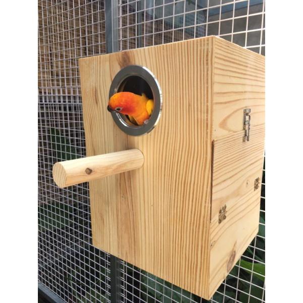 TỔ SUNCONURE, CÁC DÒNG VẸT TRUNG