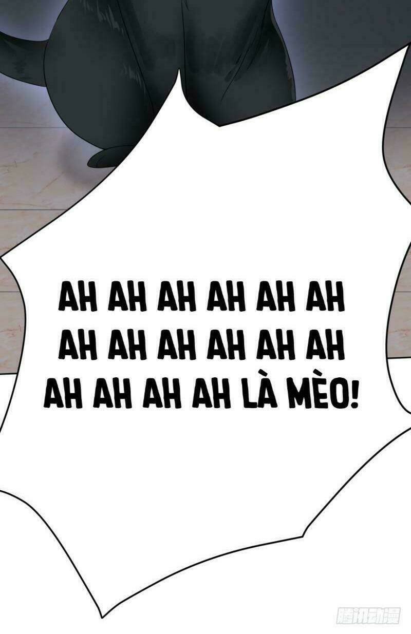 mộ thiếu, lão bà ngươi trọng sinh lại rồi! chapter 14 6