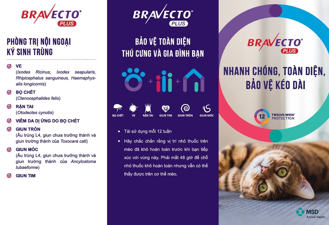 Nhỏ gáy BRAVECTO PLUS Xổ Giun, Phòng và Trị Ve Rận, Bọ Chét, Nội Ngoại Kí Sinh cho Mèo