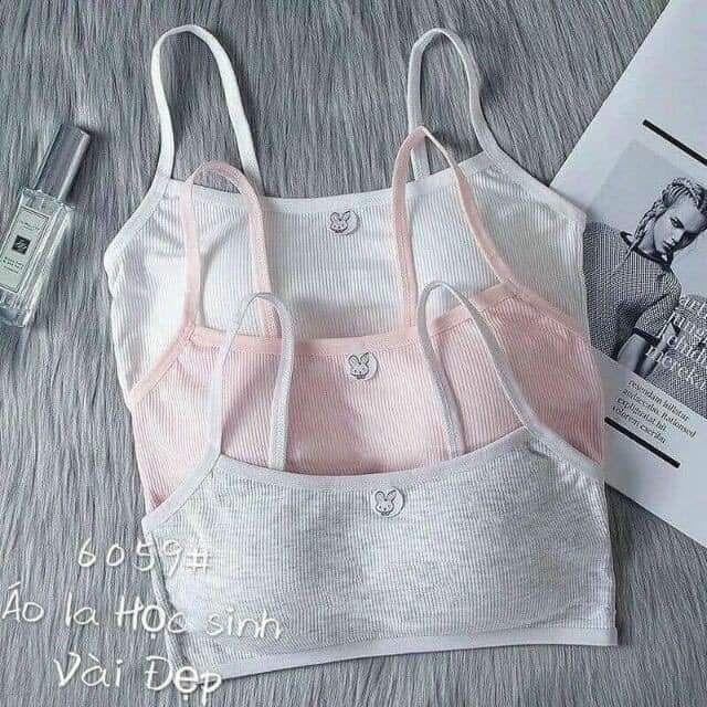 ÁO LÓT HỌC SINH HÀNG CAO CẤP