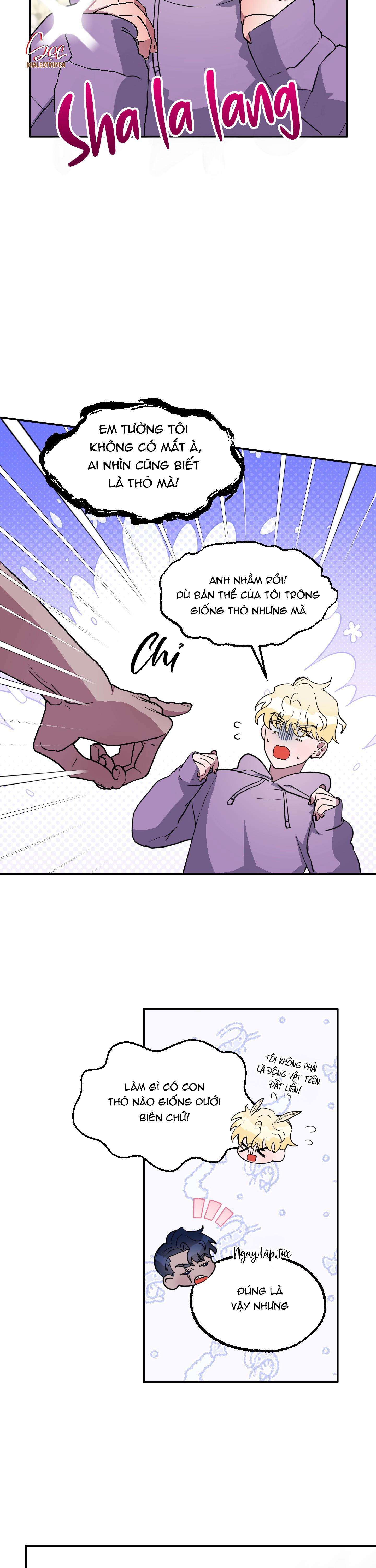 cá mập và cô dâu thỏ chapter 2 4