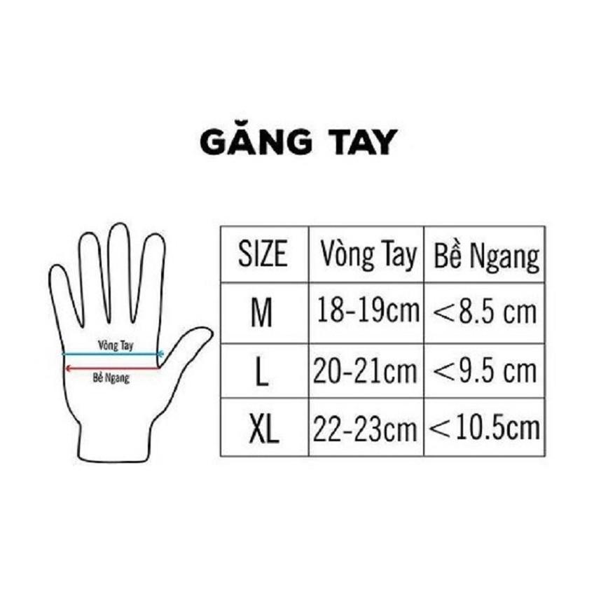  Găng tay thể thao SPORT - DXE ngón cụt (găng tay chuyên tập GYM)