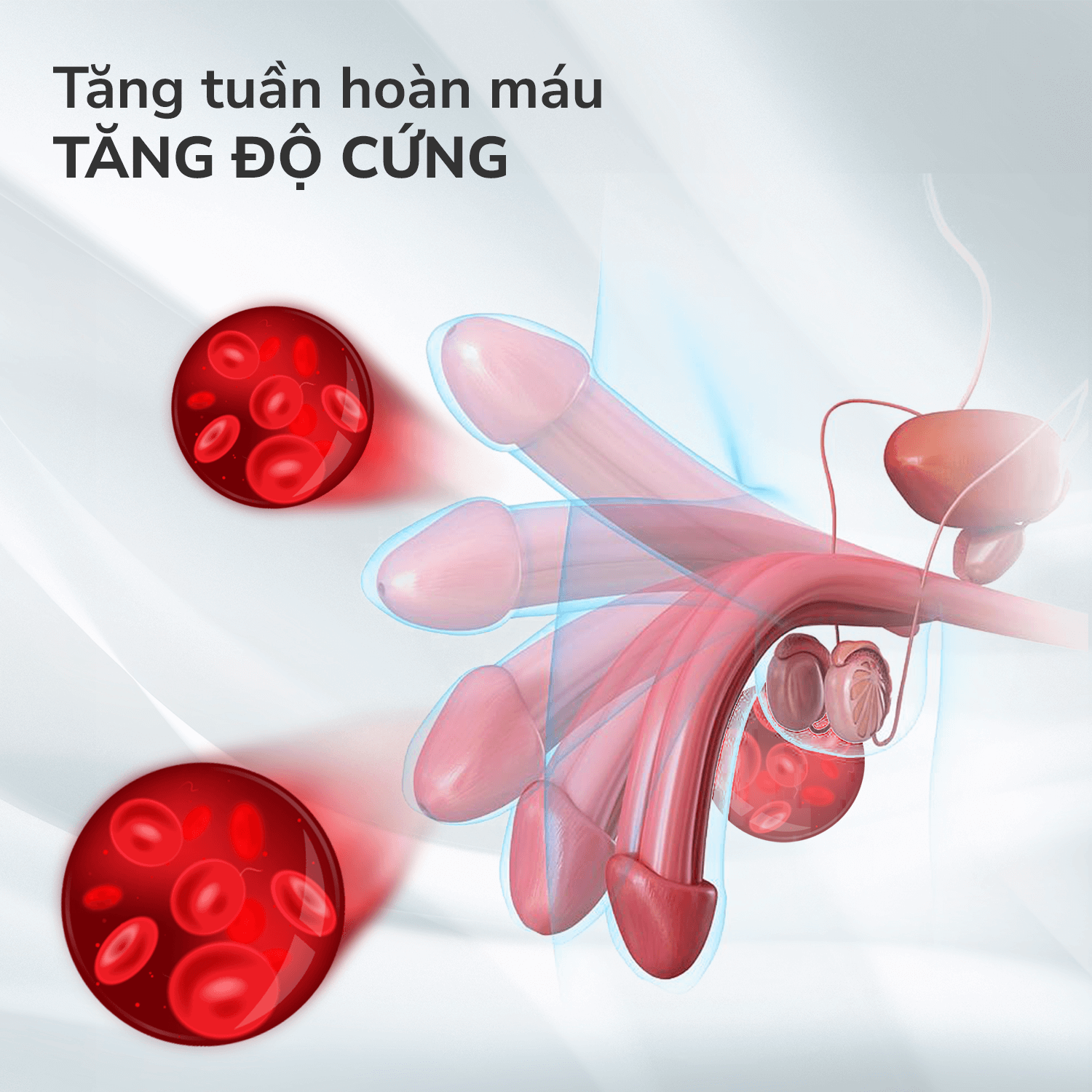 Bộ 2 Vỉ 3 viên uống tăng cường sinh lý nam giới Powergra tặng vỉ 1 viên