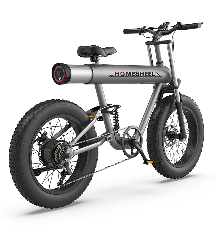 Xe đạp điện thể thao Homesheel FTN T20 Plus