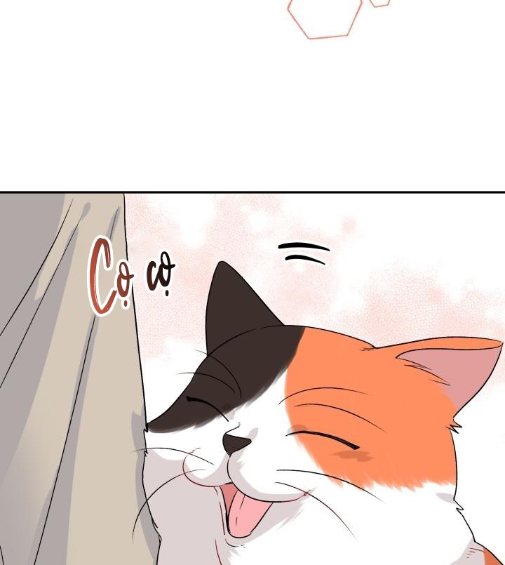 xác suất tình yêu chapter 50 24