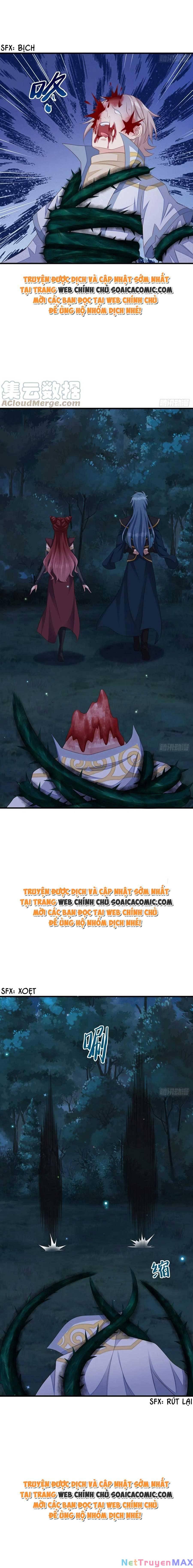 thuần hóa ba ba bạo quân chapter 62 12