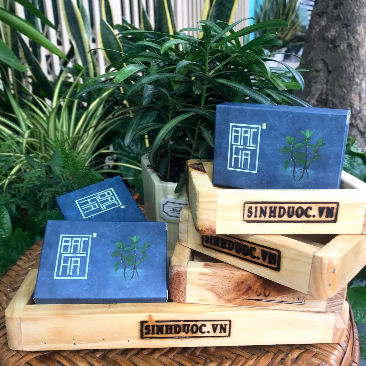 Xà bông Sinh Dược Bạc hà, xà bông cục handmade 100gr, mẫu bao bì vẽ mộc, mùi bạc hà thơm mát, làm sạch diệt khuẩn, mát da