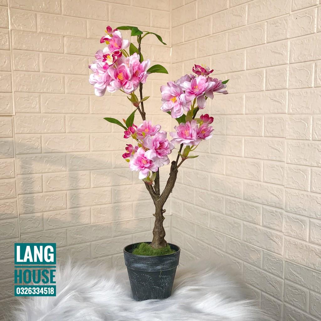 Hoa Giả Hoa Lụa - CHẬU HOA ĐÀO GIẢ CAO 40CM