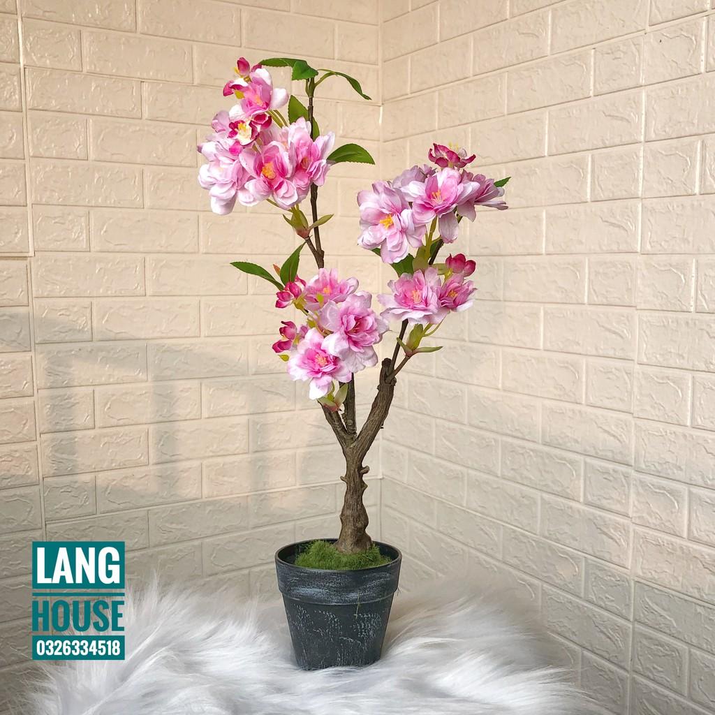 Hoa Giả Hoa Lụa - CHẬU HOA ĐÀO GIẢ CAO 40CM (CÓ KÈM CHẬU)