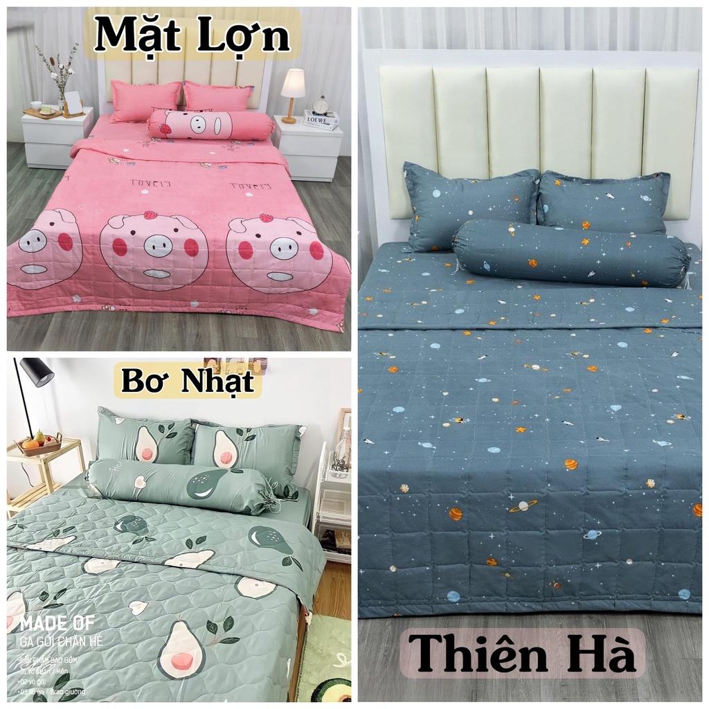 Bộ Chăn hè Ga Gối Cotton Poly Combo 5 Món - Nhiều Mẫu Lựa Chọn