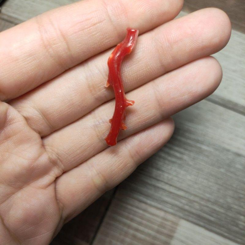 110- L Nhánh San Hô Đỏ (THIÊN NHIÊN)