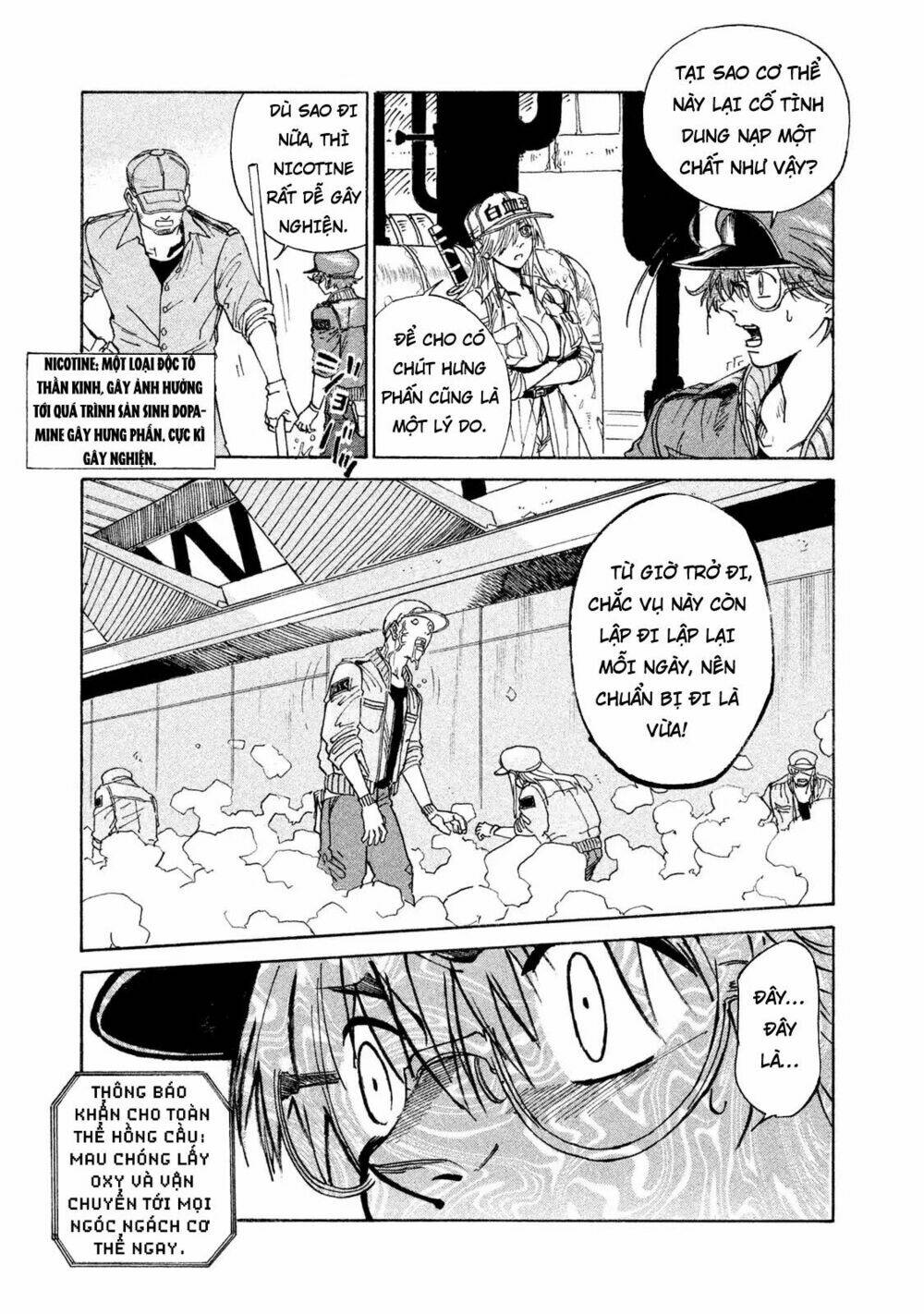 biệt đội tế bào black - hataraku saibou black chapter 1 35