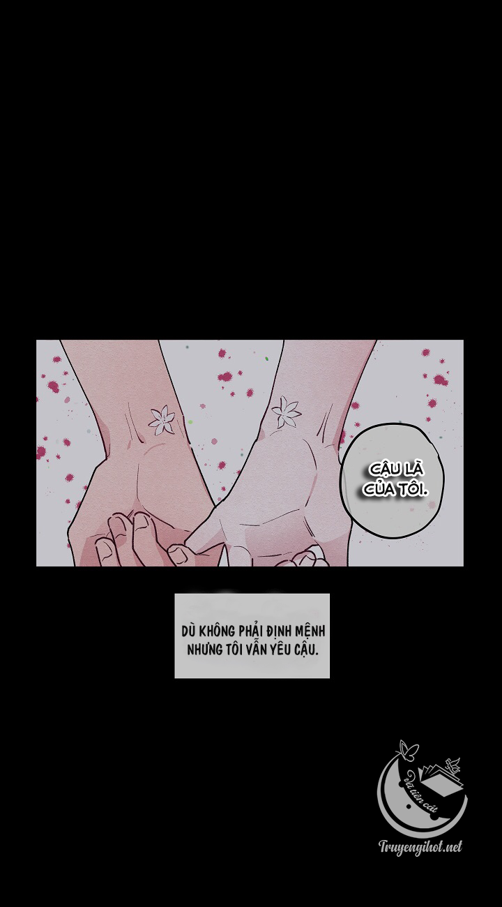 [bl19+] hoa không nở chapter 8 4