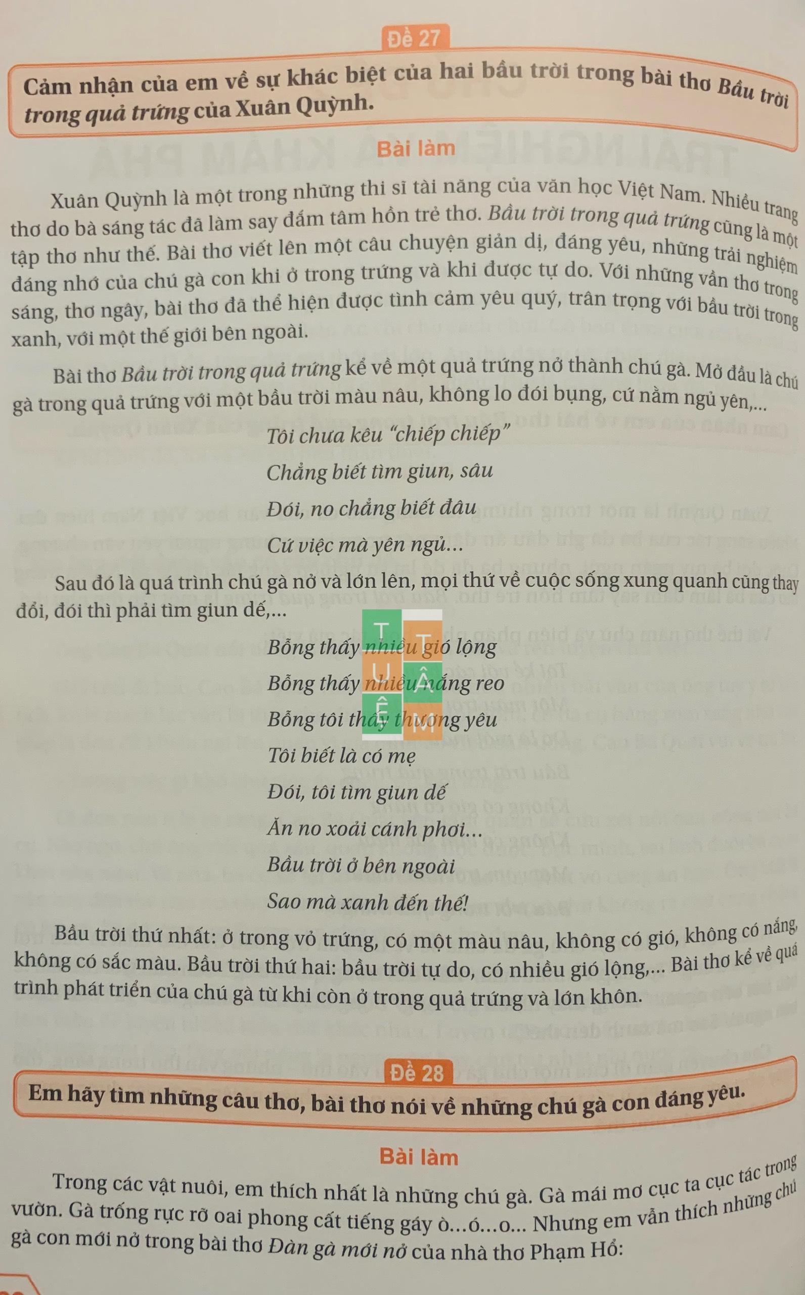 Sách - Những bài làm văn mẫu lớp 4 (Kết nối tri thức với cuộc sống)