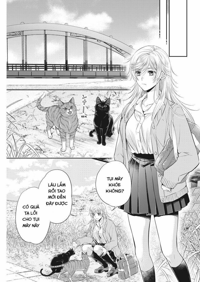 mùa xuân đến chapter 7 19