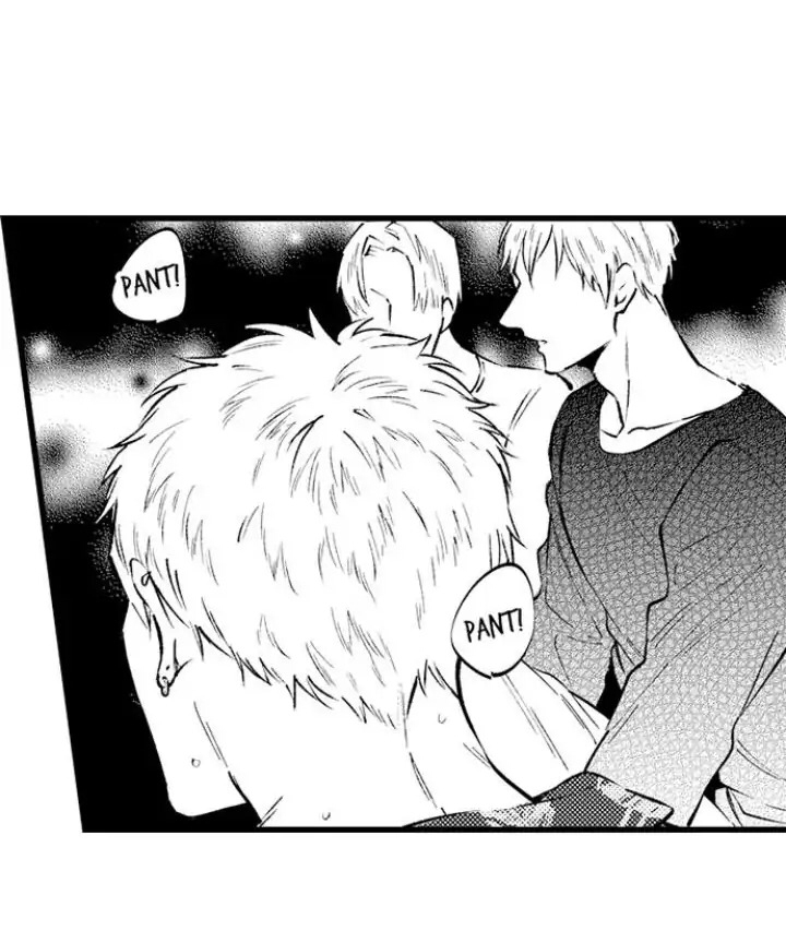 Hãy Ly Hôn Đi, Ngài Alpha chapter 13.2 - Trang 3