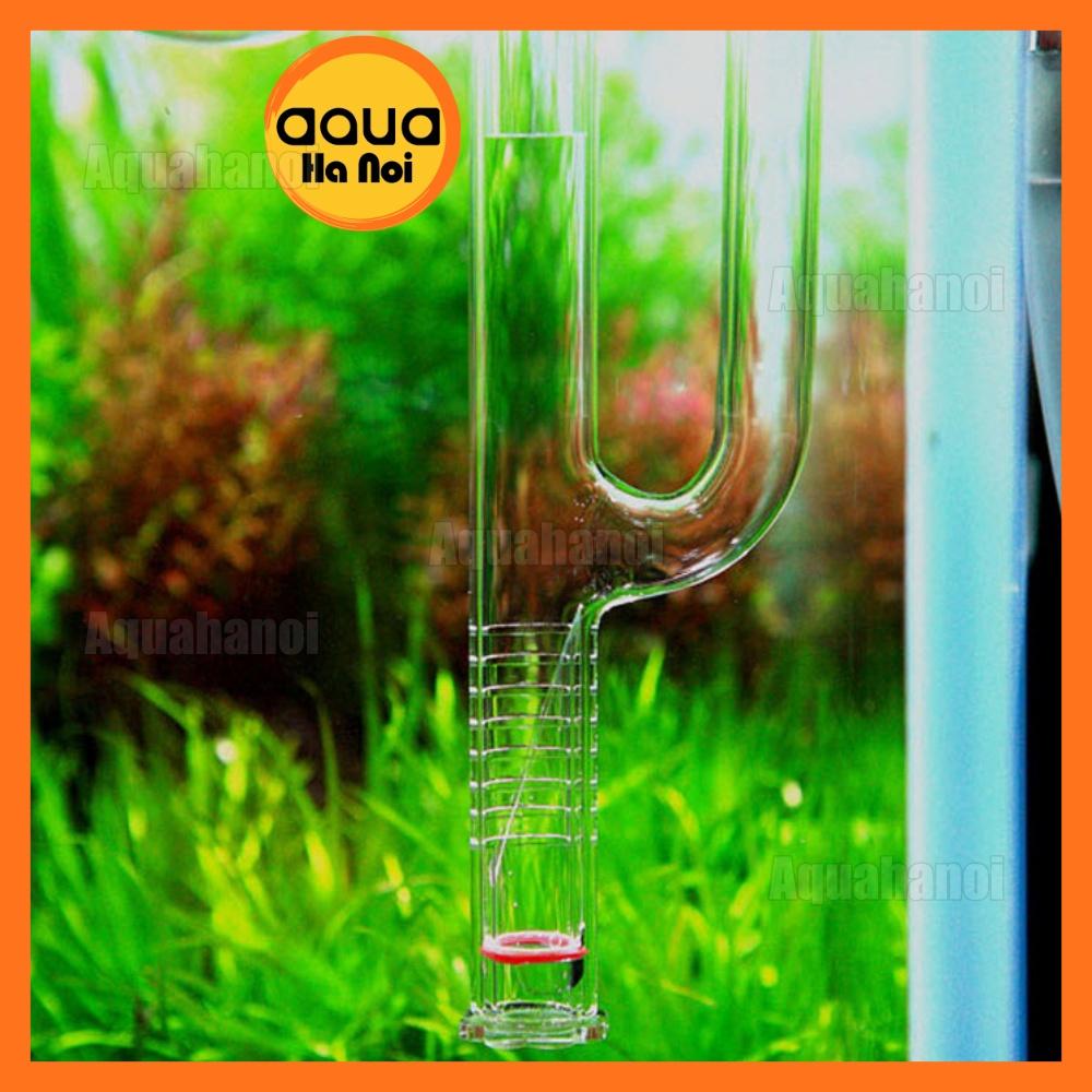 Bộ In có lọc váng + Out miệng loe thủy tinh cao cấp P12/16mm gắn lọc hồ cá cảnh thủy sinh