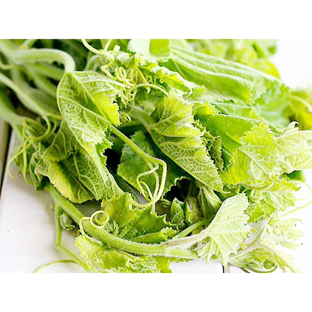 Hạt Giống Bầu Ngọn Siêu Đọt Sen Vàng Gói 10gram