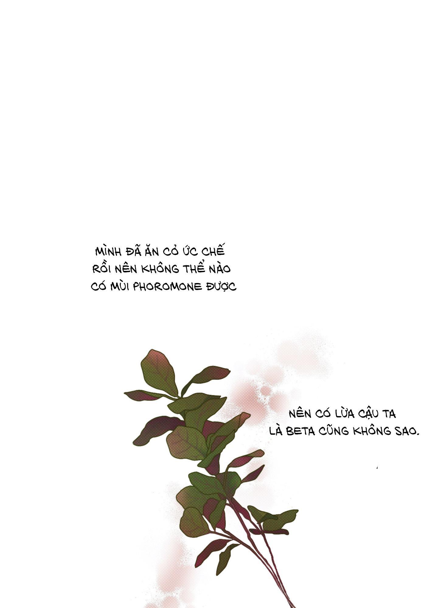 tháng 12 chapter 1 65