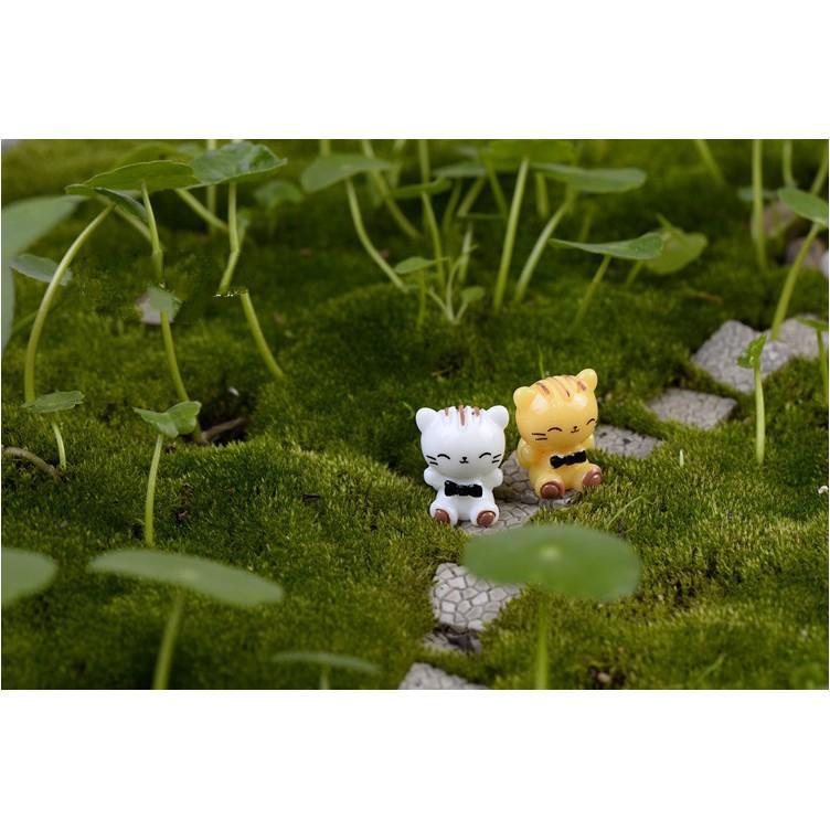Mô hình mèo con nhỏ xinh trang trí tiểu cảnh, terrarium, DIY