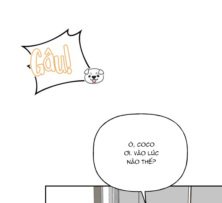 xác suất tình yêu chapter 62 24