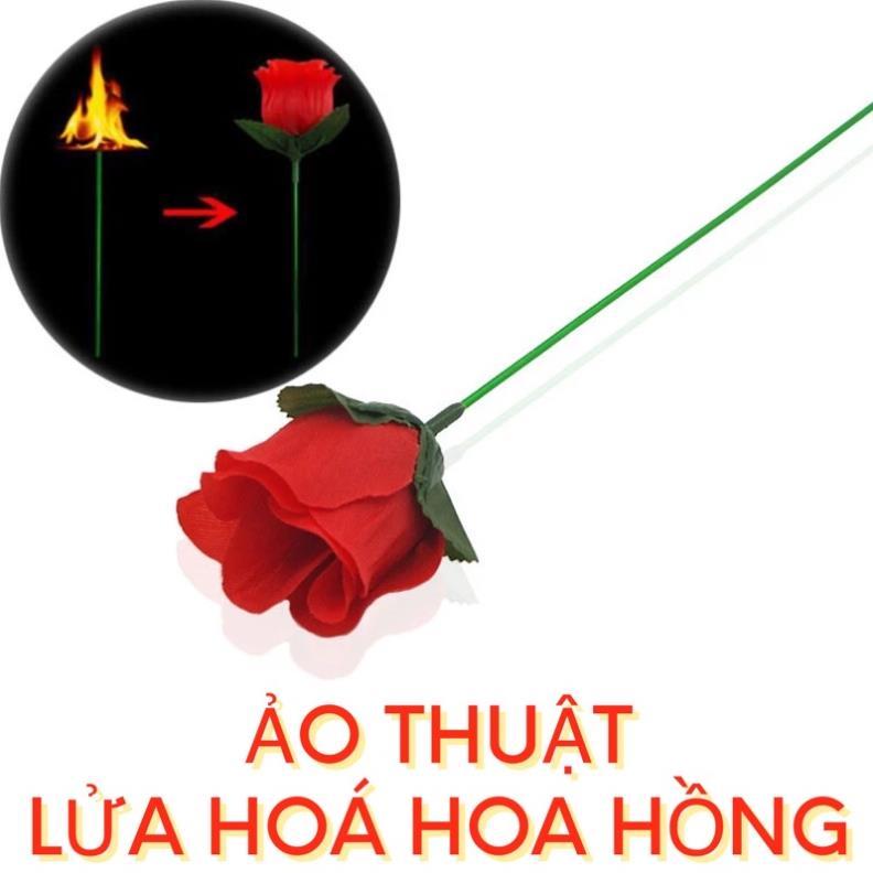 Đồ Ảo Thuật Lửa Hóa Hoa Hồng | Torch To Rose - Đạo Ảo Thuật Chuyên Nghiệp