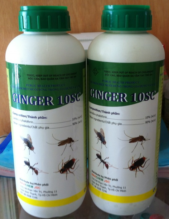 (Hàng Nhập- Cực mạnh-Tồn lưu lâu)  Thuốc diệt muỗi giá rẻ, nhập khẩu Ấn Độ GINGER 10SC 1000ml