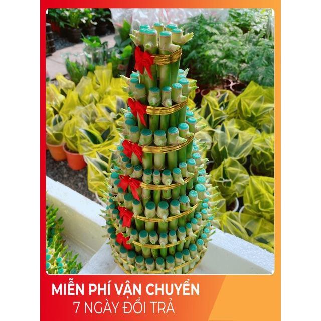 Trúc Phát Tài 7 tầng kèm dĩa
