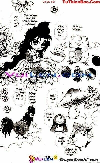 đóa hoa yêu kiều chapter 4 37