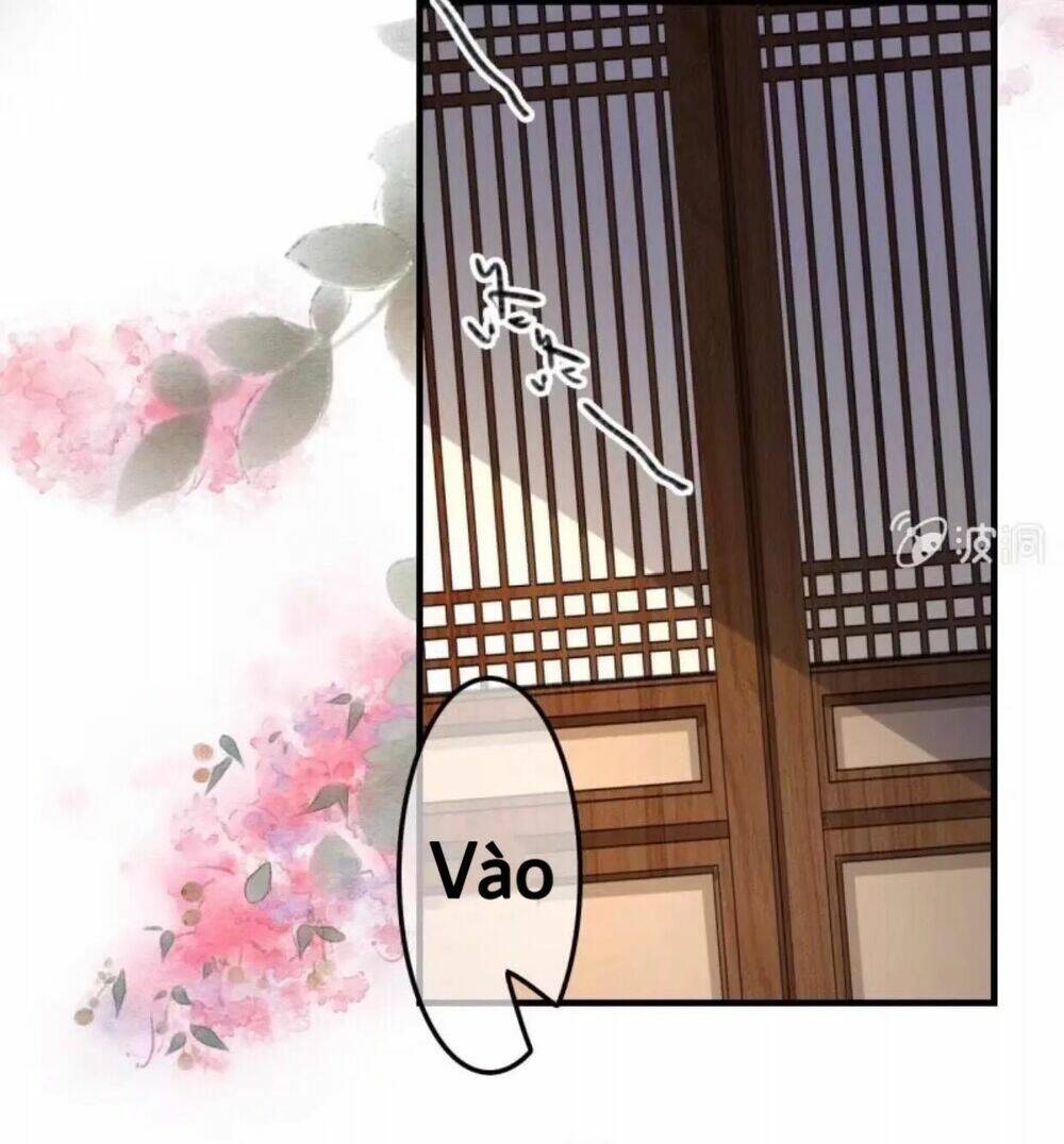 sủng phi của vương chapter 78 19