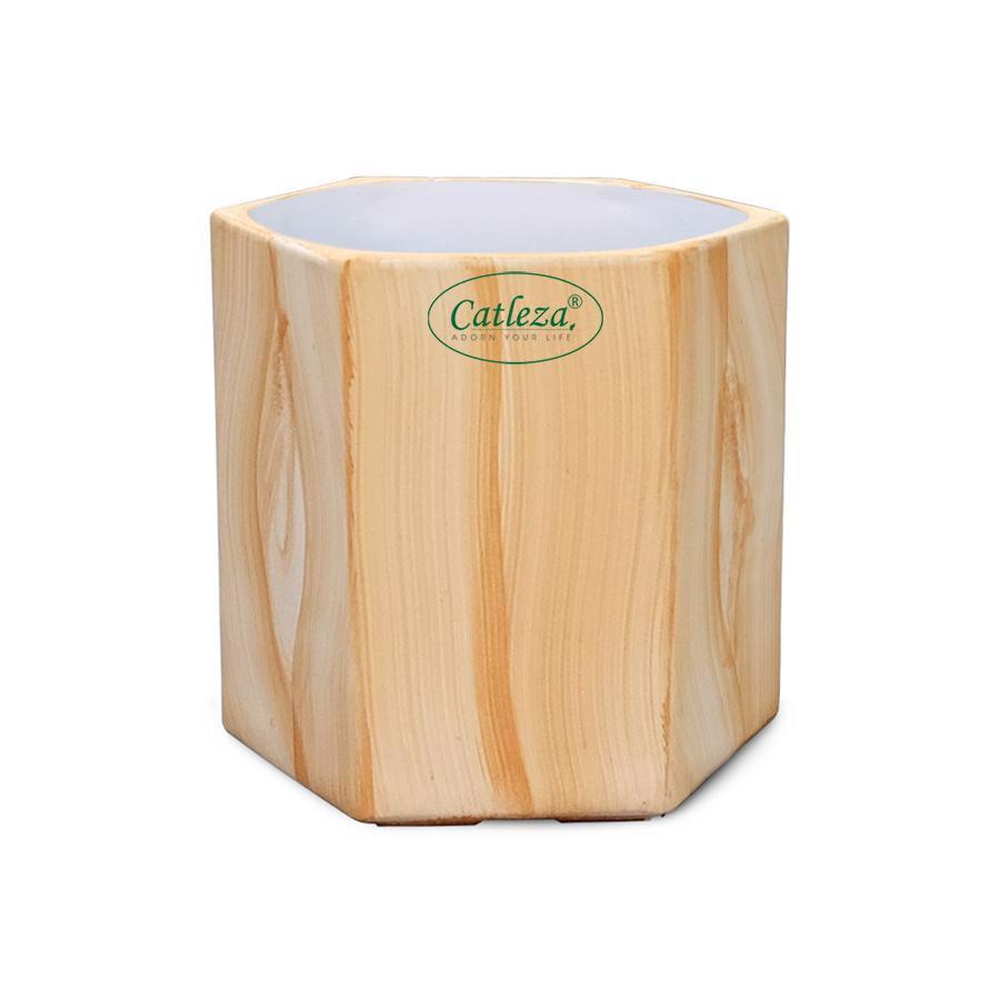 Chậu sơn lục giác 11*11*10cm - Chậu nhựa tự dưỡng Catleza