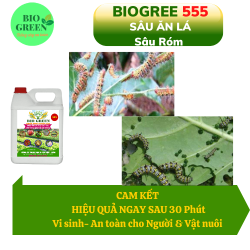 Biogreen 555– Thuốc trừ sâu rầy hiệu quả cao. Chuyên đặc trị sâu bệnh hại cây &amp; cung cấp dinh dưỡng cho cây