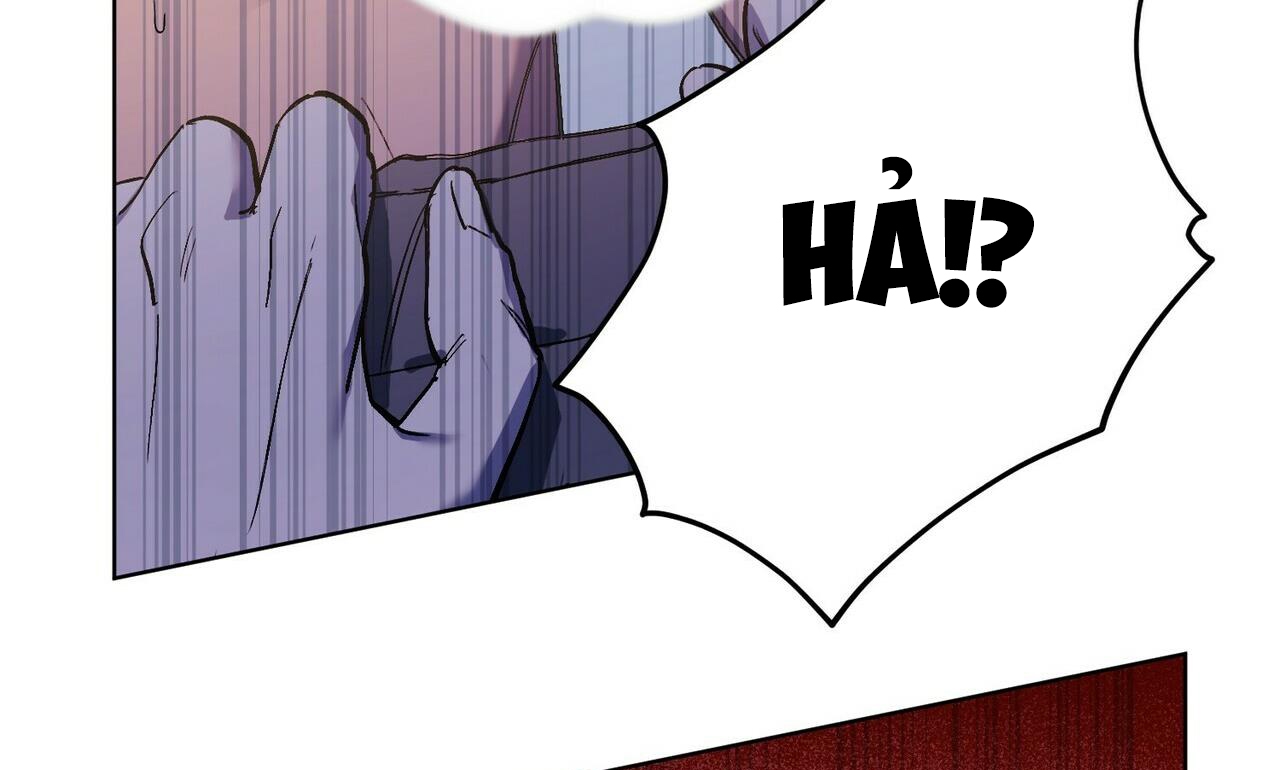 chàng dâu nhà họ kang chapter 21 93