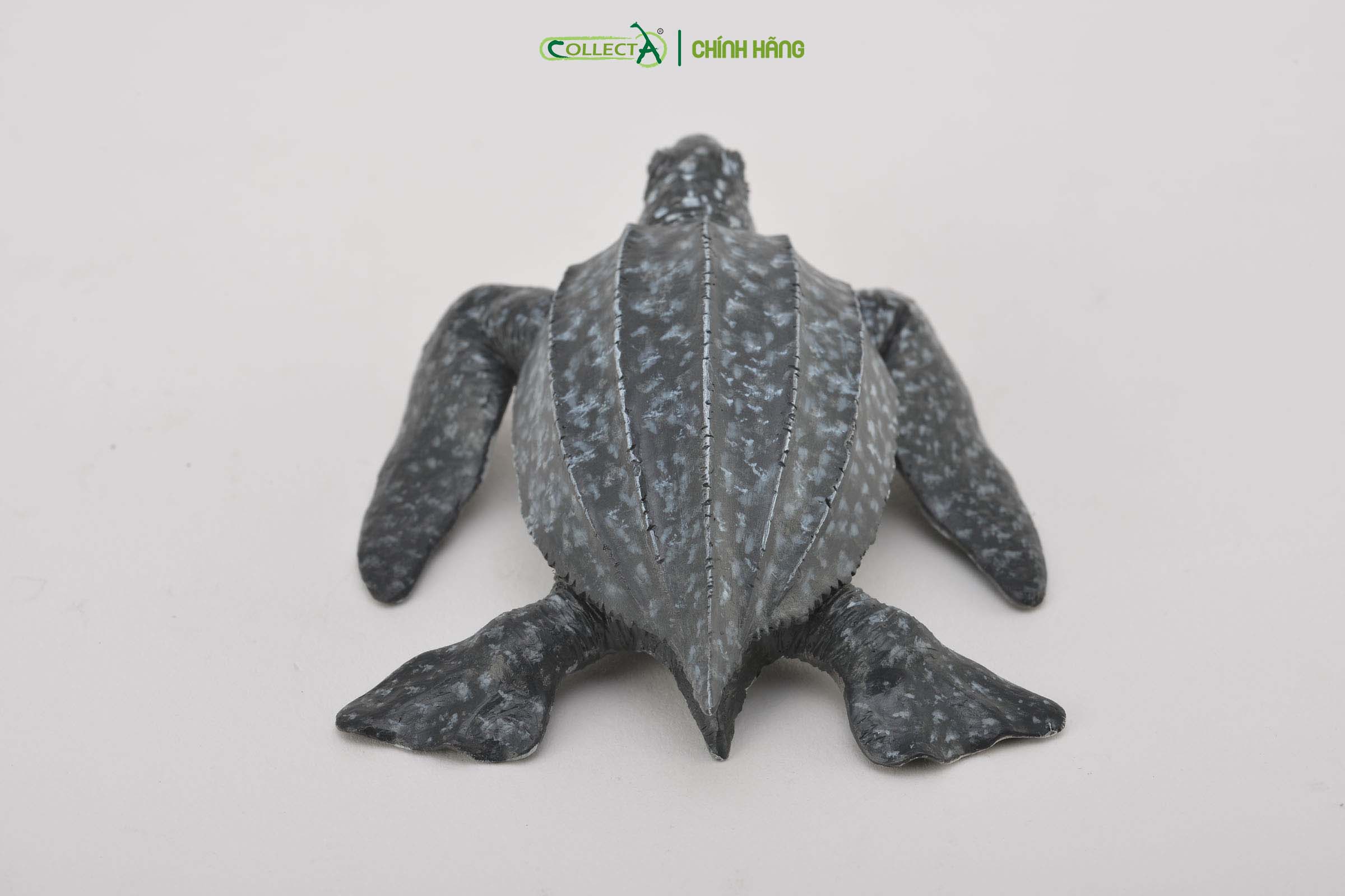 Mô hình thu nhỏ: Rùa Da - Leatherback Sea Turtle, hiệu: CollectA, mã HS 9652030[88680] - Chất liệu an toàn cho trẻ - Hàng chính hãng